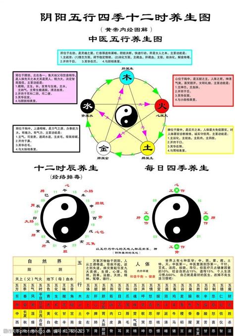 秋 五行|秋季 養生 陰陽五行 黄帝内経｜宏福中医研